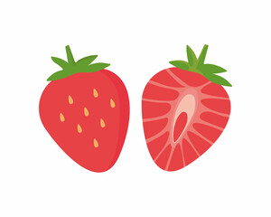 Strawberry illustration. Berry whole and cut. Vector illustration in cartoon style