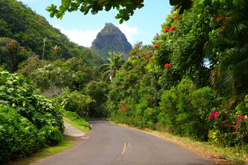 Kuhio Highway on the North Shore of Kauai island in Hawaii, United States - Countryside road...