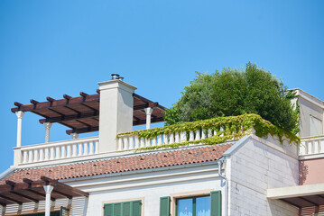 Roof patio with plants decoration in a modern high tech house