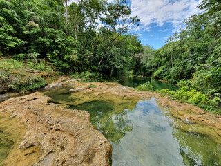Bonito - MS - floresta com rio limpo e cristalino