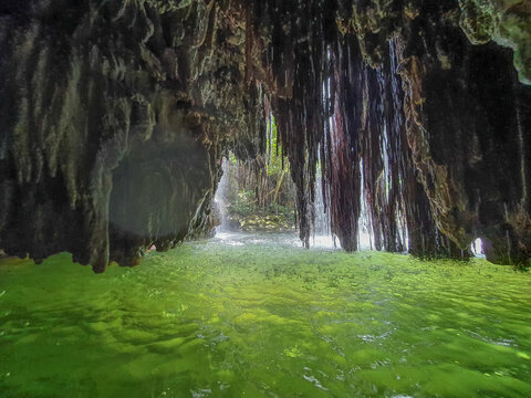 Bonito - MS - floresta com rio limpo e cristalino - gruta