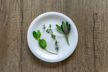 お皿にのった３種類のハーブ