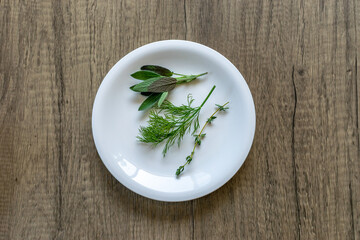 白いお皿に3種のハーブ