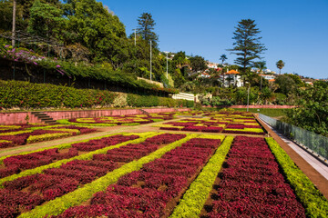 Madeira island, Portugal, Botanical Garden Monte, Funchal. October 2021