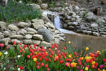 Beautiful waterfall in forest a Istanbul