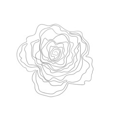 Floral silhouette art line. Flowers in continuous line drawing style. Border with tropical flower. Minimalist black linear sketch. Trendy vector illustration isolated. Contour graphics for design