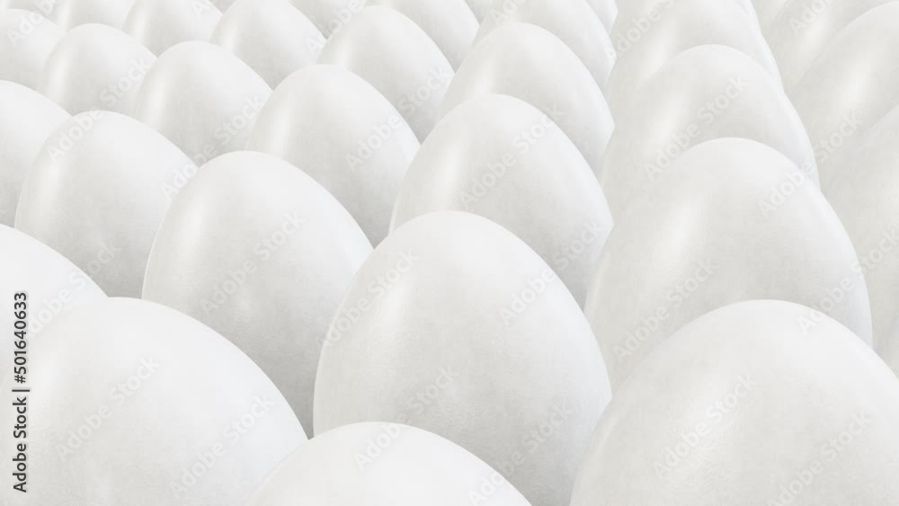 Poster realistic tracking camera looping 3d animation of the white goose eggs rendered in uhd