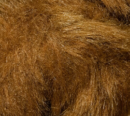 Photo of prop toy hair or fur up close and with great detail