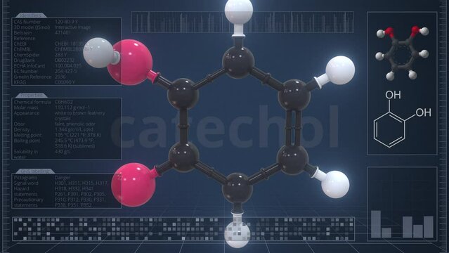 Overview of the molecule of catechol on the computer screen. Loopable 3d animation
