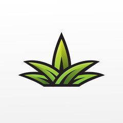 leaf grass illustration