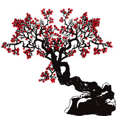 Obraz na płótnie Canvas red cherry blossom tree with flowers