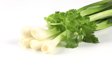 Fresh green coriander and spring onions placed together on a white background . It is a fragrant edible herb. It can be used for cooking and decoration of food and can be eaten raw.