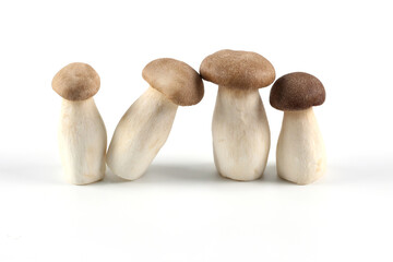 Oringi mushroom or King trumpet mushroom or Royal oyster mushroom or Eringi mushroom, on a white background. a white background.