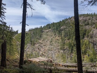 Helicopter logging operation on Vancouver island