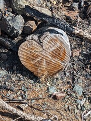 Heart shaped log