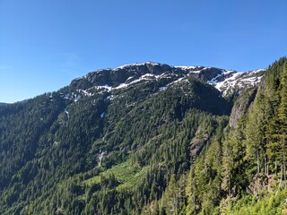 Fototapeta na wymiar View of a Mountain Top, Vancouver Island, Canada