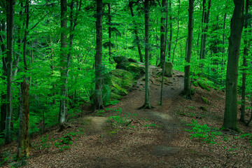 Rock form on the forest hill