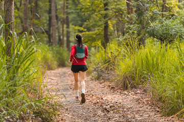 Obraz premium Rearview of adult Asian woman trail runner with running vest practices trail running in the forest park