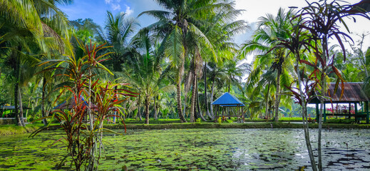 tropical resort pool