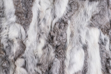 gray white fur texture close-up abstract backdrop background