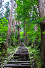 Obraz premium 羽黒山