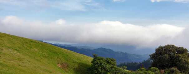 Fototapeta na wymiar Landscape views of Santa Cruz Mountains in Springtime via Russian Ridge Preserve in San Mateo County, California, USA.