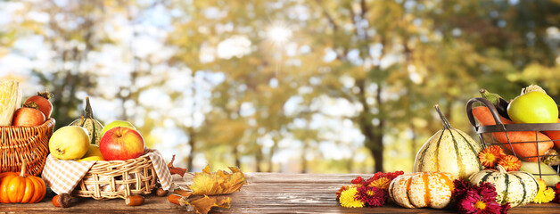 Baskets with gathered harvest on table in autumn garden