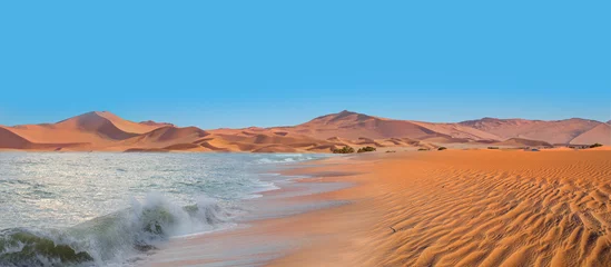 Namib desert with Atlantic ocean meets near Skeleton coast -  Namibia, South Africa © muratart