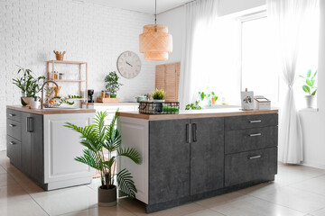 Interior of modern kitchen with counters, houseplants and clock