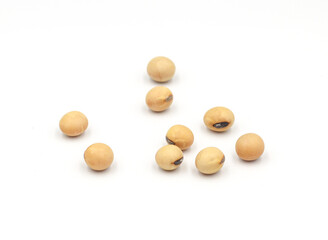 soybean seeds isolated on white background