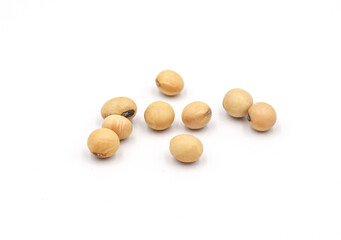 Fototapeta na wymiar soybean seeds isolated on white background