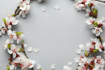 Frame made of beautiful blooming spring branches on light background