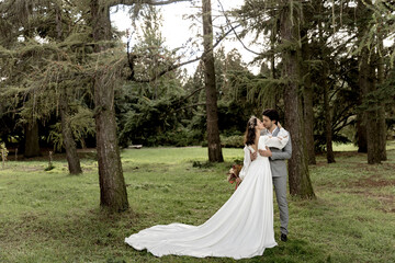 Beautiful wedding couple of newlyweds hugging and kissing in a coniferous forest