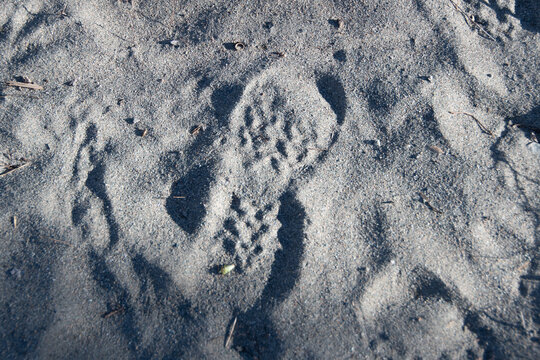 Footprint of shoe on dry sand. Human presence. Evidence at crime scene. Pattern of sole disappears over time