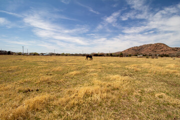 Oklahoma Landscape