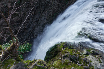 The jets of the waterfall fall into a mountain river flowing over mossy rocks in the middle of a tropical forest. Selective focus.