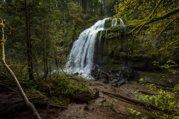 Little Mashel Falls seen through an opening in the forest.