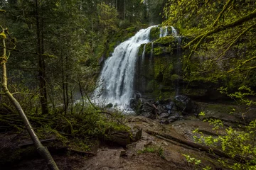 Fototapete Rund Wald Fluss Little Mashel Falls seen through an opening in the forest.  © Derrick