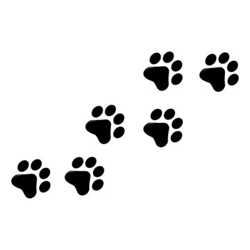 Animal paw prints right and left vector design