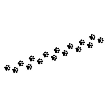 Dog paw prints right and left vector design