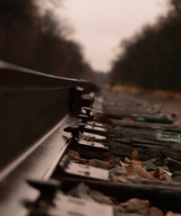 train tracks