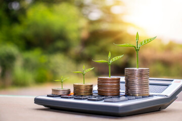 Plant trees on coins and calculators, financial accounting concepts and save money.