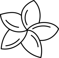 plumerias doodle hand drawing icon