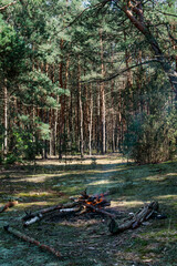 Smoke with fireplace in the forest for heating up