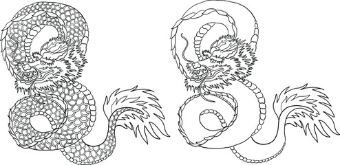 Japanese dragon tattoo isolated on white background.illustration of asia dragon for printing.Dragon Chinese character.Symbol of asia.Vector art design for coloring book and T-shirt.