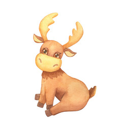 Illustration of watercolor cute sitting moose. Hand drawn character forest animal isolated on white background. Woodland illustration
