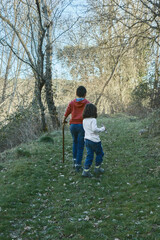 Naklejka premium An 11-year-old boy joyfully walks hand in hand with his 5-year-old sister along a forest trail.