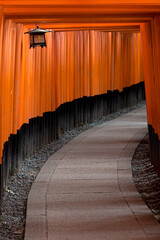 Fototapeta premium Fushimi Inari Jinja, Kyoto, Japan