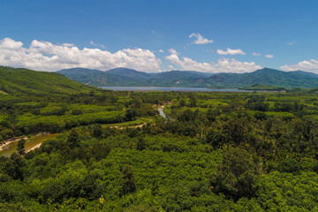Aerial view green tropical rain forest sunny day nature landscape
