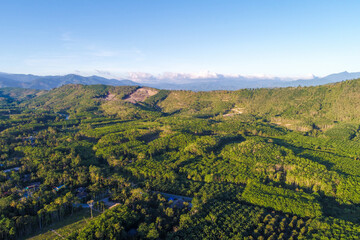 Aerial view green tropical rain forest sunny day nature landscape